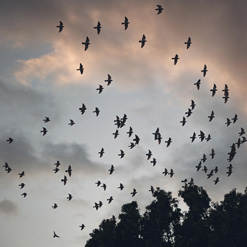 MIGRACIÓN A LA NUBE